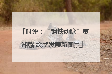 时评：“钢铁动脉”贯湘赣 绘就发展新图景