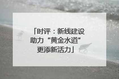 时评：新线建设助力“黄金水道”更添新活力
