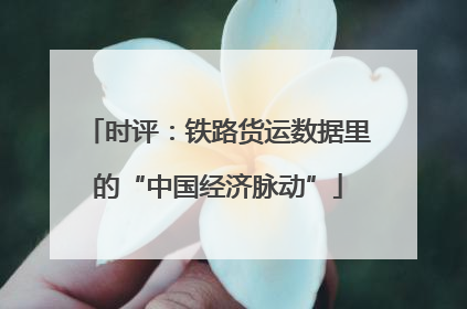 时评：铁路货运数据里的“中国经济脉动”