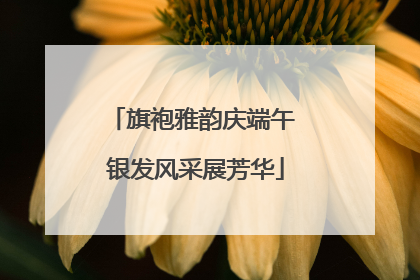 旗袍雅韵庆端午 银发风采展芳华