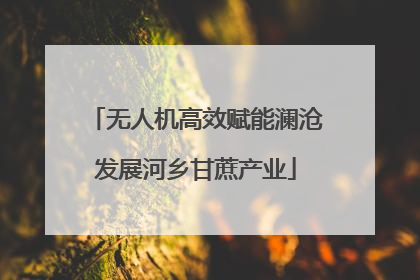 无人机高效赋能澜沧发展河乡甘蔗产业