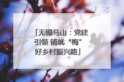 无锡马山：党建引领 铺就“梅”好乡村振兴路