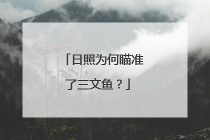 日照为何瞄准了三文鱼？