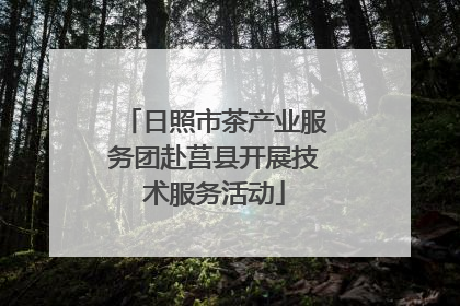 日照市茶产业服务团赴莒县开展技术服务活动