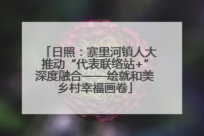日照：寨里河镇人大推动“代表联络站+”深度融合——绘就和美乡村幸福画卷