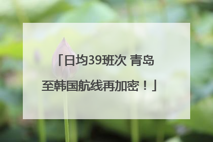 日均39班次 青岛至韩国航线再加密！