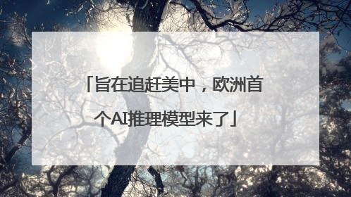 旨在追赶美中，欧洲首个AI推理模型来了