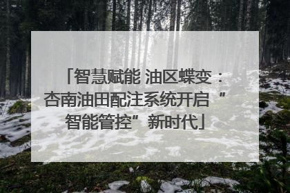 智慧赋能 油区蝶变：杏南油田配注系统开启“智能管控”新时代