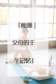 晚潮｜父母的壬午记忆