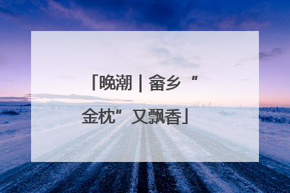 晚潮｜畲乡“金枕”又飘香
