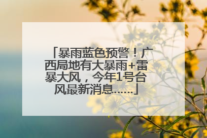暴雨蓝色预警！广西局地有大暴雨+雷暴大风，今年1号台风最新消息……
