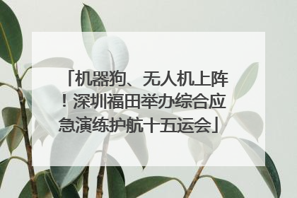 机器狗、无人机上阵！深圳福田举办综合应急演练护航十五运会