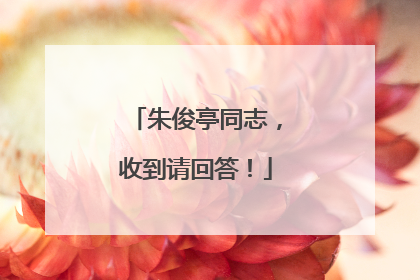 朱俊亭同志，收到请回答！