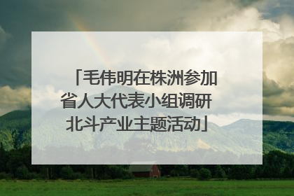 毛伟明在株洲参加省人大代表小组调研北斗产业主题活动