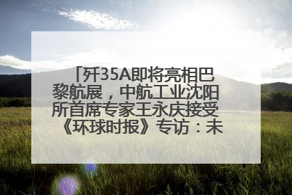 歼35A即将亮相巴黎航展，中航工业沈阳所首席专家王永庆接受《环球时报》专访：未来数量可以有很多