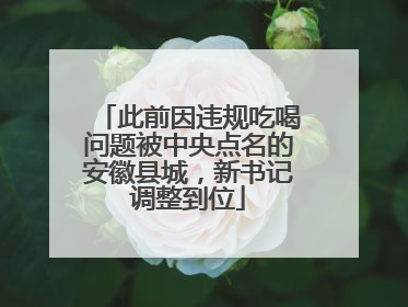 此前因违规吃喝问题被中央点名的安徽县城，新书记调整到位