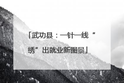 武功县：一针一线“绣”出就业新图景