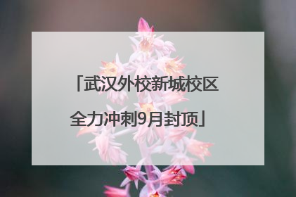 武汉外校新城校区全力冲刺9月封顶