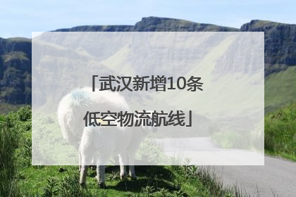 武汉新增10条低空物流航线
