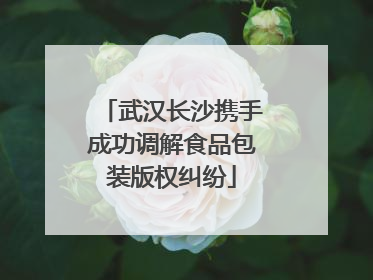 武汉长沙携手成功调解食品包装版权纠纷