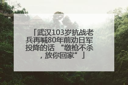武汉103岁抗战老兵再喊80年前劝日军投降的话 “缴枪不杀，放你回家”
