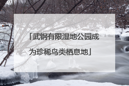 武钢有限湿地公园成为珍稀鸟类栖息地
