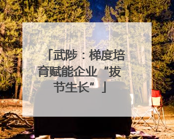 武陟：梯度培育赋能企业“拔节生长”