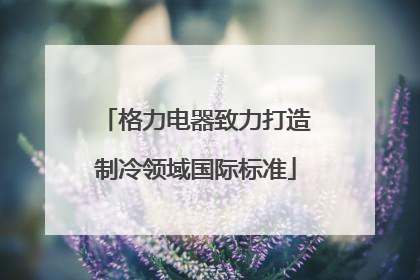 格力电器致力打造制冷领域国际标准