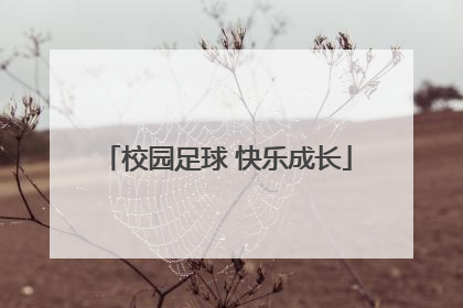 校园足球 快乐成长