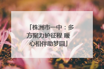 株洲市一中：多方聚力护征程 暖心相伴助梦圆