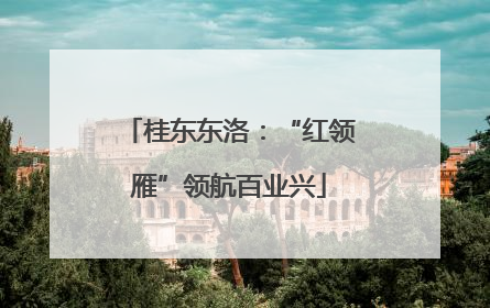 桂东东洛：“红领雁”领航百业兴