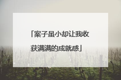 案子虽小却让我收获满满的成就感