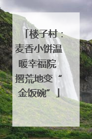 楼子村：麦香小饼温暖幸福院 撂荒地变“金饭碗”