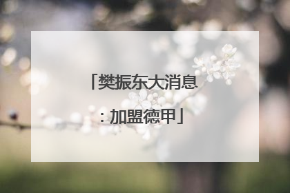 樊振东大消息：加盟德甲
