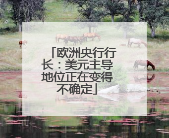 欧洲央行行长：美元主导地位正在变得不确定