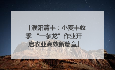 濮阳清丰：小麦丰收季 “一条龙”作业开启农业高效新篇章