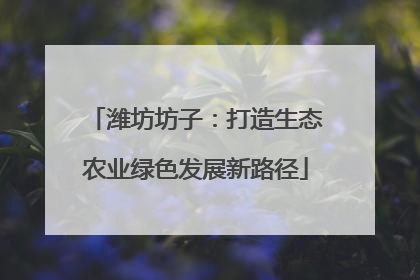 潍坊坊子：打造生态农业绿色发展新路径