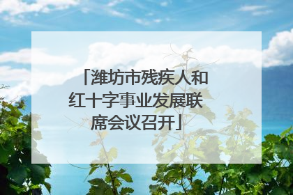 潍坊市残疾人和红十字事业发展联席会议召开