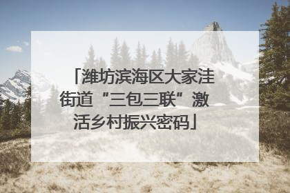 潍坊滨海区大家洼街道“三包三联”激活乡村振兴密码