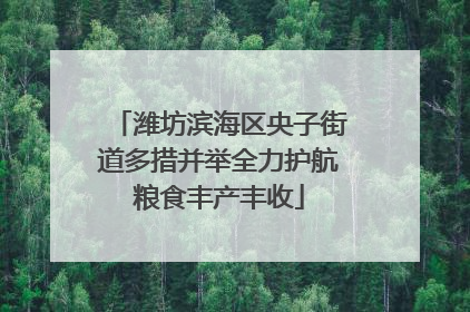 潍坊滨海区央子街道多措并举全力护航粮食丰产丰收