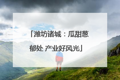 潍坊诸城：瓜甜葱郁处 产业好风光