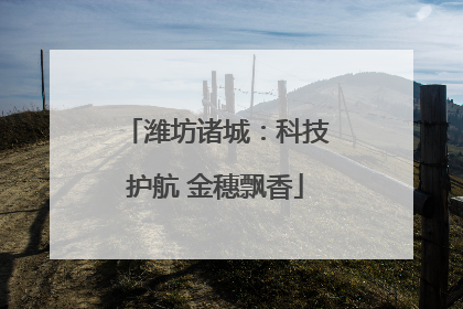 潍坊诸城：科技护航 金穗飘香