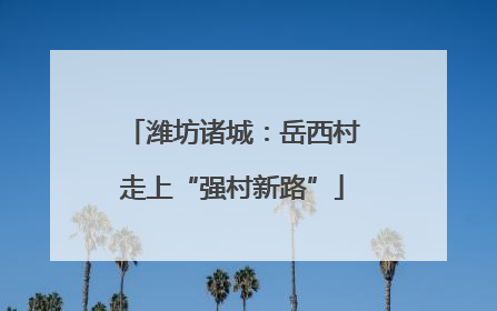 潍坊诸城：岳西村走上“强村新路”