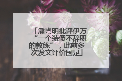 潘粤明批评伊万“一个装傻不辞职的教练”，此前多次发文评价国足