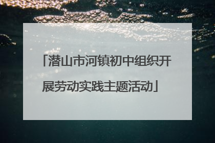 潜山市河镇初中组织开展劳动实践主题活动