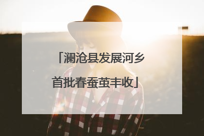 澜沧县发展河乡首批春蚕茧丰收