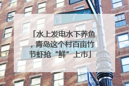 水上发电水下养鱼，青岛这个村百亩竹节虾抢“鲜”上市