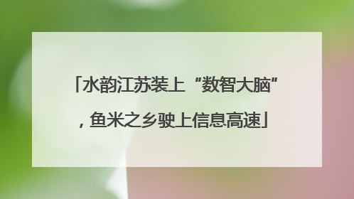 水韵江苏装上“数智大脑”，鱼米之乡驶上信息高速