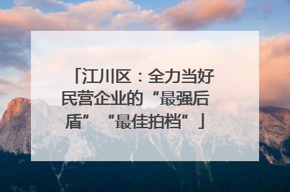 江川区：全力当好民营企业的“最强后盾”“最佳拍档”