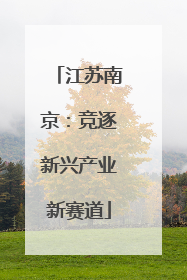 江苏南京：竞逐新兴产业新赛道